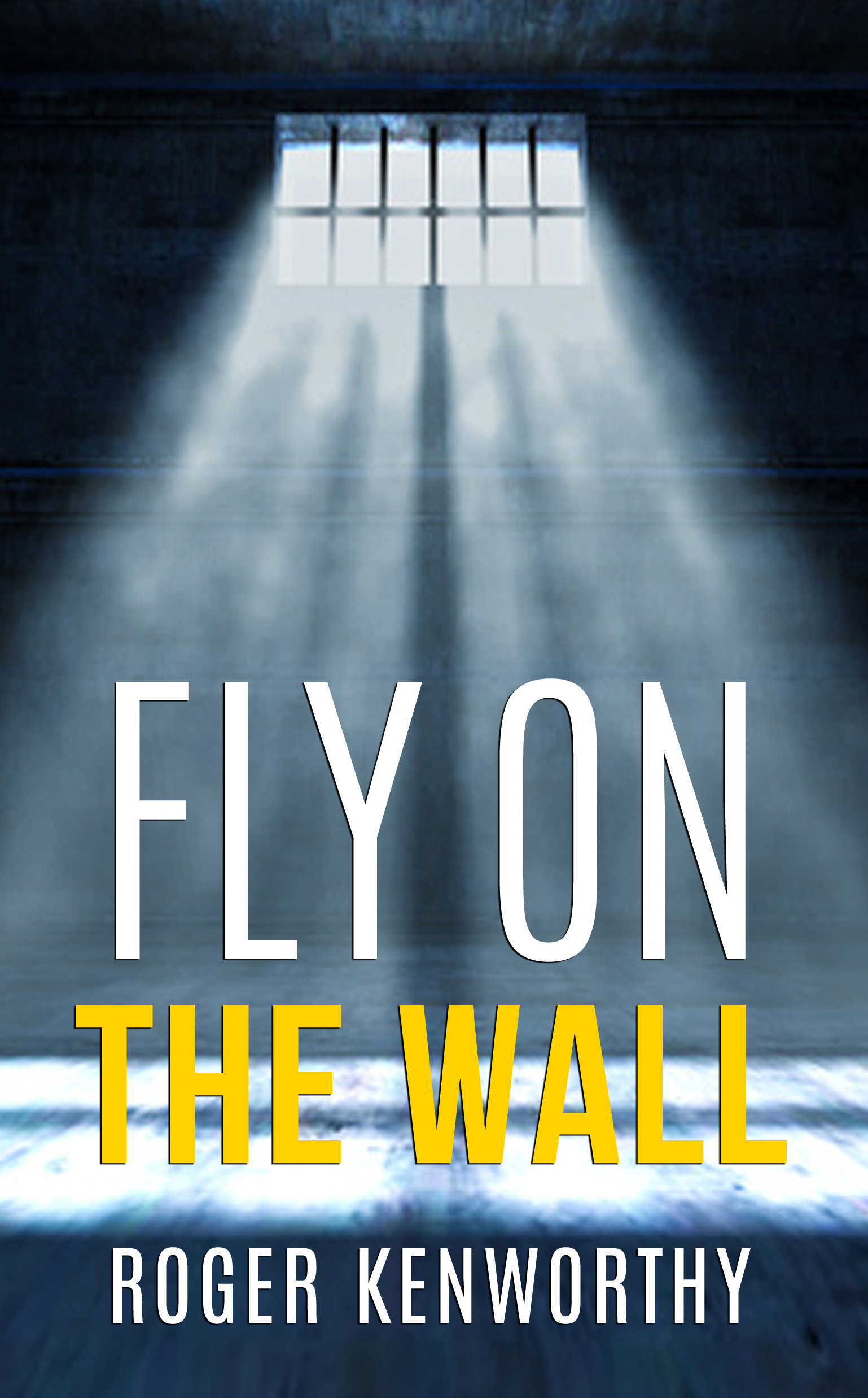 Fly on the Wall: Days of Solitude